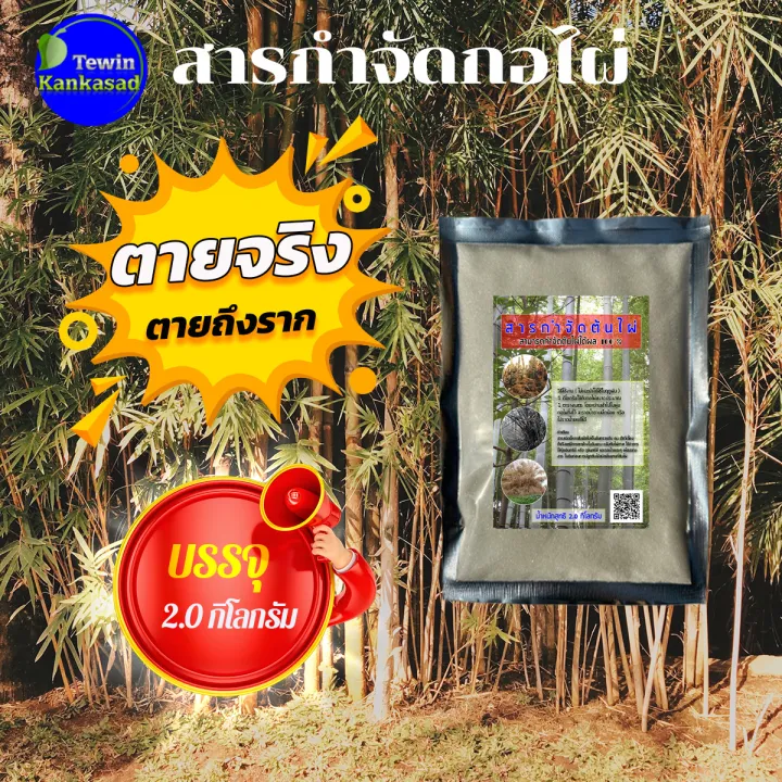 สารกำจัดกอไผ่ ฆ่าต้นไผ่ วัชพืช ไม้เลื้อย 100% (2 กก.)