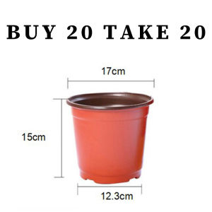 BUY 20 TAKE 20 Plastic Nursery Planters 40PCS for Seed Starting Propagation Succulents and Cactus