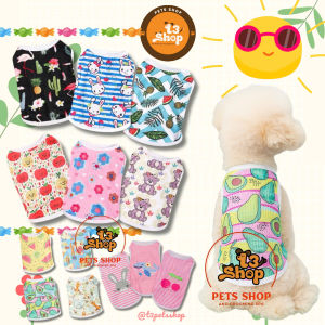 áo thun xinh giá ưu đãi cho chó mèo - T3 PETS SHOP
