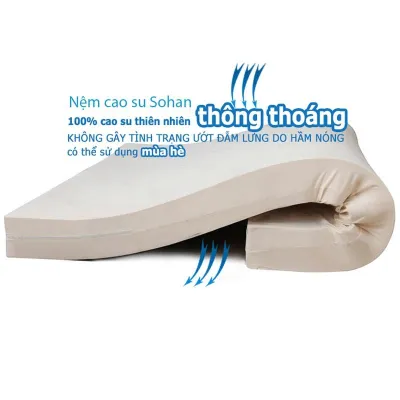 [TẶNG] Nệm 16m x 2m x 10cm 100% CAO SU THIÊN NHIÊN hãng SOHAN Tặng 1 Áo Nệm Có Khóa Kéo Và 1 Drap Bọc Nệm