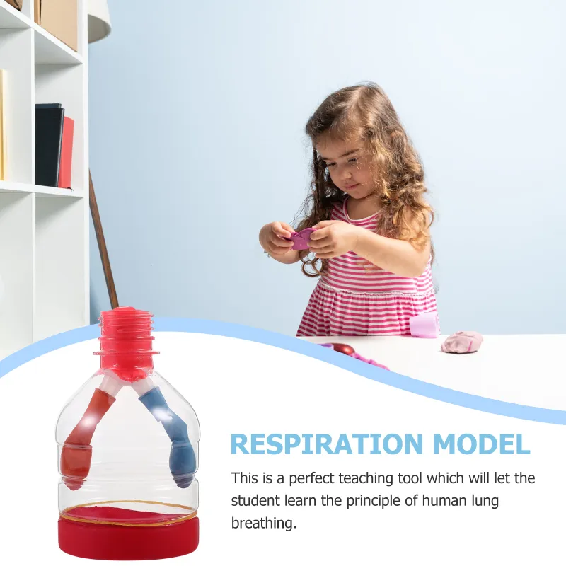 YARNOW DIY Lungs Model Kit - 6 Sets Human Anatomy Learning Demonstration Props