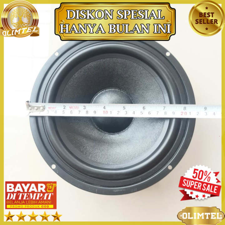 SPEAKER INCH WOOFER AUDIO 300 WATTS OHMSOLIMTEL Speaker