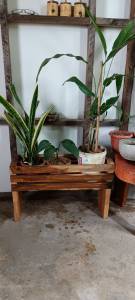 ชั้นวางต้นไม้ ตะกร้าใส่กระถาง ตะกร้าผ้า ที่ใส่ร่ม ใส่ไม้กวาด ใบใหญ่ กล่องเก็บของ ชั้นวาง ตะกร้าไม้ ทำจากไม้ โดนน้ำโดนแดดได้