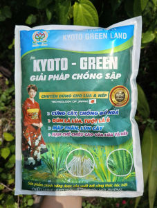 [ TRUNG THIEN THINH] KYOTO GREEN Gói 1KG – Giải Pháp Chống Sập Cho Lúa Nếp Cứng Cây Chống Đổ Ngã