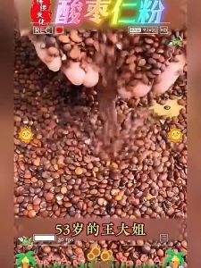 精品纯酸枣仁粉 0蔗糖失眠多梦安睡安神助眠 Pure Sour Date Kernel Flour Soothing Sleep Aid Breakfast Oatmeal