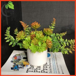 Chậu Sen Đá Giả Trang Trí Bàn Kệ Tủ Giá Sách Cao 15-20cm Nhiều Mẫu