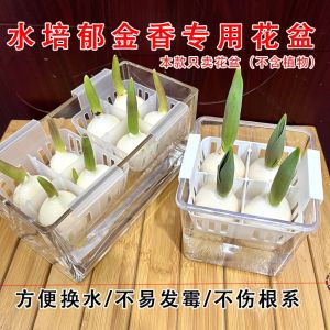 YUDESHUI Acrylic Hydroponic Containers Clear With Breathable Support Basket Tulip Hydroponic Flowerpot Sturdy Hydroponic Planter Home Decoration