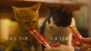2 cans(2*50pcs) Ciao Churu Cat Treats Tubs 50 Sticks - Chicken Seafood Tuna Collagen