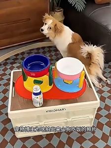 Adjustable Height Dog Bowl with Suction Cup Non-Slip Elevated Pet Food & Water Bowl for Dogs Cats