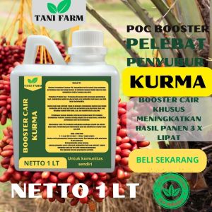 Pupuk Semprot Pelebat Buah Kurma Pupuk Pelebat Buah KurmaPupuk Penyubur Buah Kurma ZPT