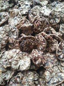 BUAH MENGKUDU/PACE KERING HERBAL TERMURAH 250 GRAM
