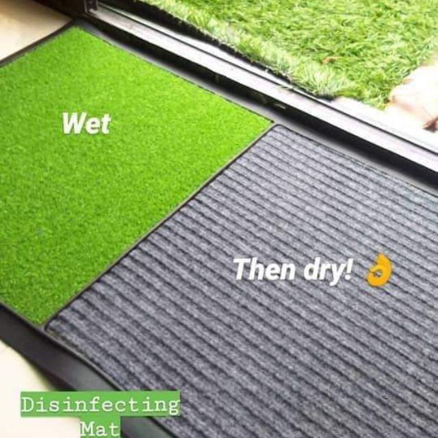 CHILDRENANDFASHION 2 in 1 Dual Function Disinfectant Foot Shoe Mat Wet and Dry Lazada PH