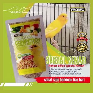 MAKANAN BURUNG KHUSUS KENARI LOMBA CEPAT GACOR POLL