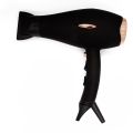 CHOEGO PROFESSIONAL HAIR DRYER COMPACT PRO 2100 [CHG913]. 