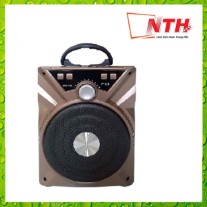 [HCM]Loa Ruizu P88 kèm Mic