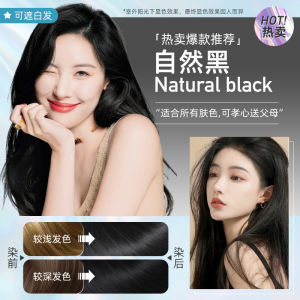 500ml Plant Extract Bubble Hair Dye Shampoo Jiang Xiao Cai Pure Plant Extract Grey Hair Color Bubble Dye SG Ready Stock