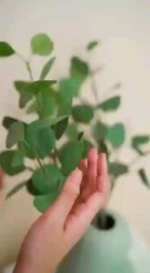 Jilbab hijab kerudung bergo krudung wanita dewasa jersey instan jumbo syari terbaru new terlaris terkini modern kekinian murah viral 2022 Arrafi AR 643 adem mudah di bentuk cantik pet antem bahan stella premium cantik bayar di tempat COD gratis ongkir