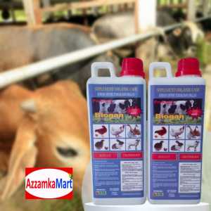 SUPLEMEN ORGANIK CAIR SOC BIOGAN UNTUK PENGGEMUKAN SAPI KAMBING TERNAK UNGGAS
