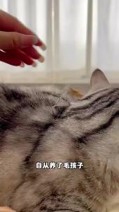 High Quality [ Spot inventory ] Newair purifier for home use a must-have for removing cat hair eliminating odors and removing loose fur specifically designed forowners