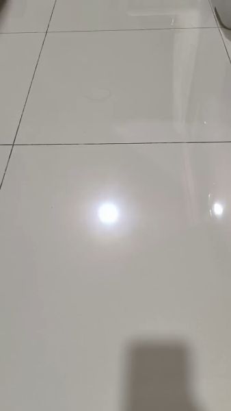 Buyer review video 4