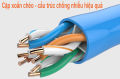 60m Dây mạng (cáp lan) CAT6 bấm sẵn 2 đầu. 