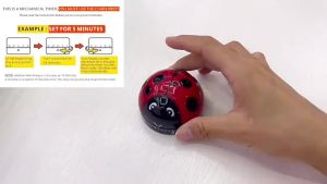 2 Pcs Kitchen Timers for Cooking Ladybug Kitchen Timer Kitchen Cooking Timer Red Ladybug Countdown Reminder 60 Minutes Timer Mechanical Wind up Timer