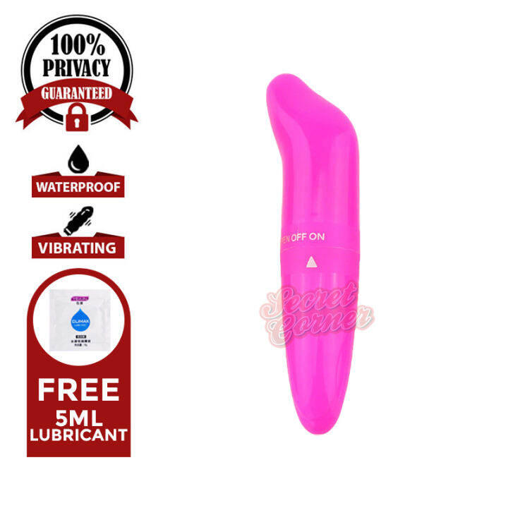 Secret Corner Dolphin Vibe Mini Vibrator Bullet Massager Sex Toy