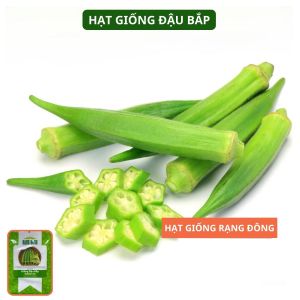 Hạt giống Đậu Bắp Rado 60 20g~250 hạt Cây cao Trái sai Trồng quanh năm | Hạt giống Rạng Đông