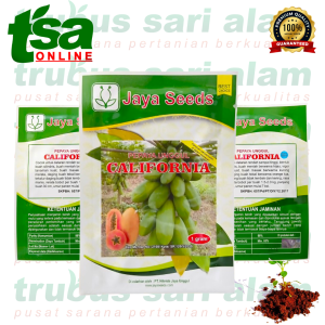 CALIFORNIA  - Benih bibit biji Pepaya Unggul lonjong manis genjah buah lebat JAYA SEEDS