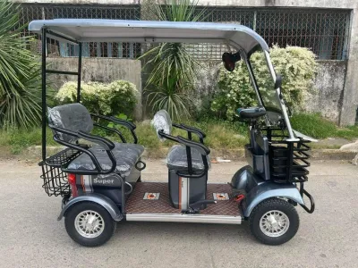 Nwow 4wheels etrike ebike EMC Golf Cart Somero Supremo Cover Water Repellent