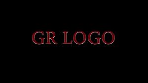 Toyota Wigo 2023 to 2026 OEM GR LOGO Black Window Door Rain Visor Thailand Quality Car Accessories