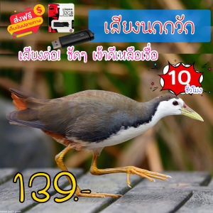 999shop เสียงต่อ เสียงนกกวัก แฟลชไดร์ฟเสียงนกกวัก สำหรับต่อหรือล่อนก ความยาว 10 ชม.เสียงดัง เสียงใสกังวาน ได้ผล100%