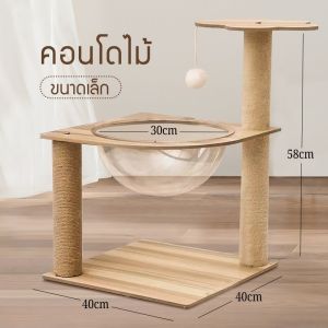 Mango คอนโดแมวอวกาศ✨พร้อมหลุมใสอะคริลิคและเสาฝนเล็บ ของเล่นแมว ที่ลับเล็บแมว เฟอร์นิเจอร์แมว ที่ขูดกรงเล็บแมว ที่นอนแมว