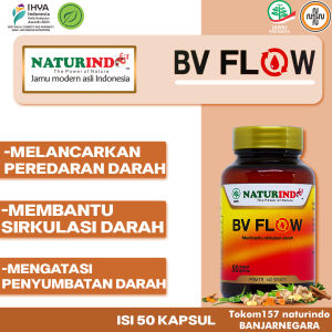 BV FLOW HERBAL OBAT MELANCARKAN SIRKULASI DARAH DARAH KENTAL DARAH MENGGUMPAL