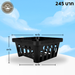 กระถางต้นไม้ กระถางกล้วยไม้ 4 เหลี่ยม เบอร์ 6 นิ้ว 50 ใบ ชิ้น ยกมัด