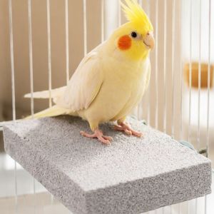 VOIDFARE Washable Pumice Claw Grinding Platform Safe Chew-Resistant Parrot Beak Grinding Stone Pet Parents Stable Bird Resting Platform Cage Decoration