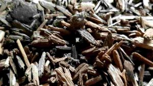 Kayu Gaharu Asli Alami Sulawesi KGAS01