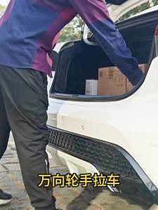 LZD Universal Wheel Cart: A Comprehensive Guide