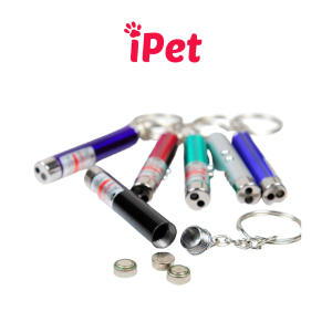 Đèn Laze Cầm Tay Size Nhỏ Đồ Chơi Cho Chó Mèo Vờn Bắt - iPet Shop