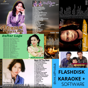 Flashdisk karaoke 128gb isi ribuan lagu+software karaoke Bisa Cod !!