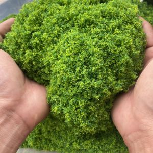 Bột rêu nhựa trang trí gốc cây tiểu cảnh làm DIY