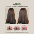 [BEST SELLER] Penumbuh Rambut | LVJ lavojoy Hold Me Tight Pro Shampoo Spring Wonder | Shampoo Anti Rontok | Mempercepat Pertumbuhan Rambut | Mengurangi Kerontokkan | Sampo Ginseng & Jahe. 