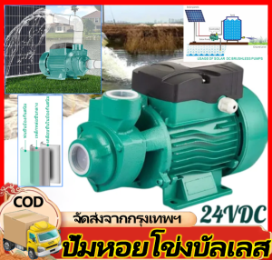 พร้อมส่ง DC PUMP หอยโข่ง Brushless (ไร้แปรงถ่าน/บัสเลส) 12V 24V แรงดันสูง ปั๊ม น้ำ ปั๊ม บาดาล ปั๊ม จุ่ม ปั๊ม แช่ โซล่าเซลล์ ปั้ม ไดโว่