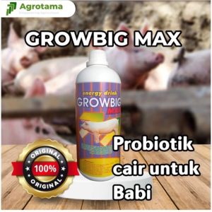Growbig Max 1 L Vitamin Babi Penggemuk dan Penambah Nafsu Makan Babi