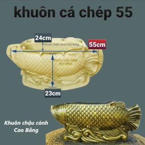 khuôn đúc chậu cảnh cá chép 55 (khuôn ABS có lòng trong)