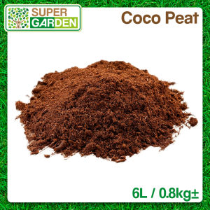 100% Natural Coco Peat 6L/0.8kg Coco Coir Biji Benih Cocopeat Halus Sabut Kelapa Hancur Organik Hidroponik 纯天然椰丝椰糠