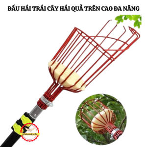Đầu Hái Trái Cây Trên Cao Chắc Chắn Tiện Lợi – Không Bao Gồm Cán Gậy