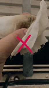 [Giá Hủy Diệt] Bộ Lọc Nước Tại Vòi JN-15 Lõi Than Hoạt Tính Hỗ Trợ Giảm Mùi Và Cặn Bẩn