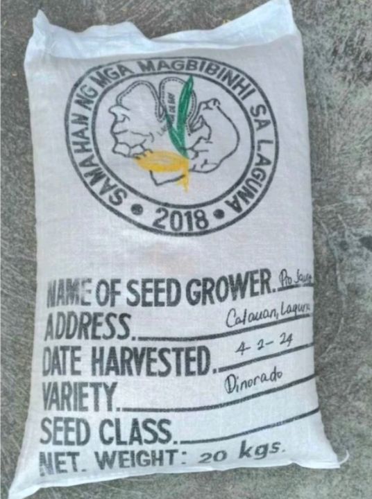 Palay/Binhi/Rice Seeds IRRI David DINORADO (20 kg) | Lazada PH