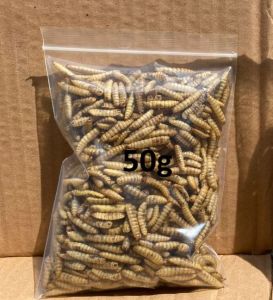 Sugar glider treat healthy freeze dried chicken freeze dried egg VIRAL dried black soldier fly larvae cheese grain